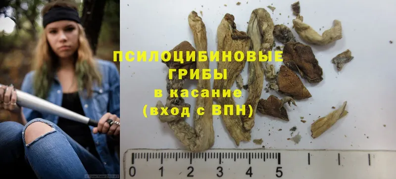 Псилоцибиновые грибы Magic Shrooms  Аркадак 